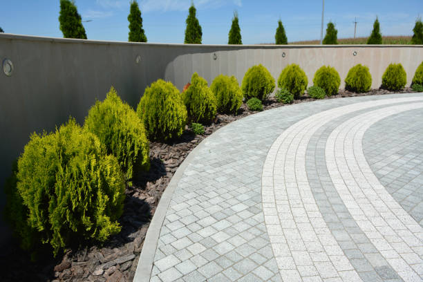 Reasons to Select Us for Your Driveway Paving Requirements in Laguna Hills, CA